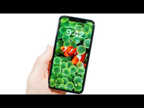 iphone 11 black review